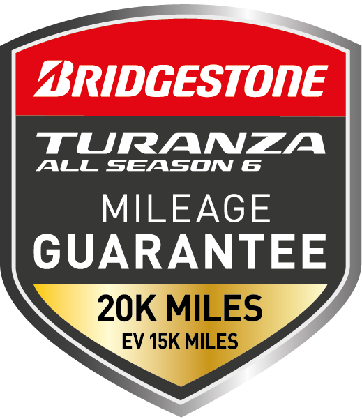 Bridgestone T6