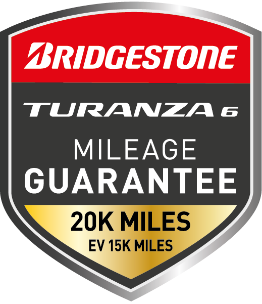 Bridgestone T6